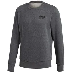 Adidas DFB Street Graphic Sweatshirt WM 2018 - grau S
