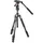 Manfrotto Befree Live Alu Kit, Klemmverschluss mit Fluid-Videokopf