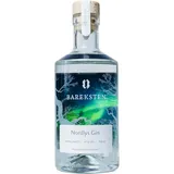 Bareksten | Nordlys Gin | The Spirit of The Northern Lights | Frisch & würzig | Kleinstchargen aus Norwegen | 41% vol. | 500ml