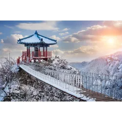 Fototapete PAPERMOON "WINTER-LANDSCHAFT-GUEMOSAN SÜDKOREA ASIEN WALD SONNE", bunt, B:3,50m L:2,60m, Vlies, Tapeten
