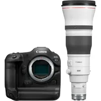 Canon EOS R3 + RF 600mm f4 L IS USM