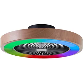 Lightbox 49 cm Deckenventilator Braun/Schwarz