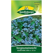 Quedlinburger Vergissmeinnicht, Blauer Korb',