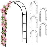 Rosenbogen 6er-Set Schwarz 240x37x140cm