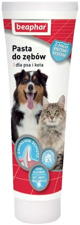 BEAPHAR-Teeth Paste 100G - Zahnpasta mit Lebergeschmack für Hunde und Katzen (Rabatt für Stammkunden 3%)