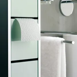 EMCO Asis 150 WC-Modul 80,9 x 16,8 cm Silber/Weiß Glas