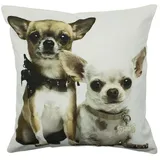 Mars & More Kissen Chihuahuas 50 x 50 cm Hellbraun