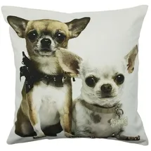 Mars & More Kissen Chihuahuas 50 x 50 cm Hellbraun