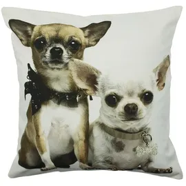 Mars & More Kissen Chihuahuas 50 x 50 cm Hellbraun