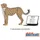JEKCA Bricks Cheetah 01 ST19ML66