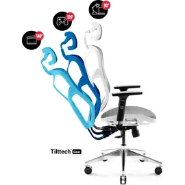 Diablo Chairs Diablo V-Basic Bürostuhl Chefsessel Netzstoff verstellbare Armlehnen höhenverstellbar (weiß/grau)