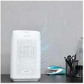 Cecotec Bigdry 2000 Essential - One Size - EU Plug 220V