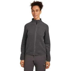 Icebreaker Classic Pile Fleecejacke Grau L
