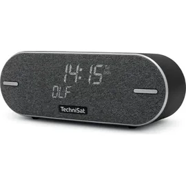 TechniSat DigitRadio BT 2 grau