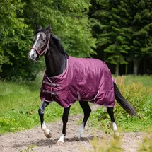 Horse Guard Landon Turnout Pferdedecke 0 g 125 cm Pflaume