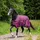 Horse Guard Landon Turnout Pferdedecke 0 g 125 cm Pflaume