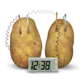 4M Green Science Kartoffeluhr (3275)