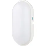 LEDINO LED-Wand- /Deckenleuchte Schwabing XXL, 20W, IP65, IK08 neutralweiss