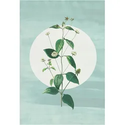 Komar Bild »Faire Pousser des Fraises«, Natur, (1 St.), Wandbild zur Dekoration - ohne Rahmen Komar Farbe Bild(er): bunt