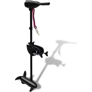 vidaXL Aussenborder Elektro 24V 86 lbs