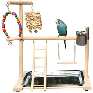 Vogel Spielplatz, Holz Wellensittich Spielplatz Freisitz mit 2 Edelstahl Feeder-Cup Spielzeug Leiter und Tablett, Papageien-Spielständer Sitzstange für Nymphensittich Papageien Wellensittiche (B)
