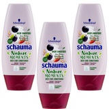 Schauma Pflege-Spülung Natur Momente Acia Beere, Mandelmilch & Hafer 3 x 250ml