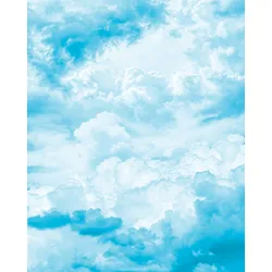 Vliestapete KOMAR "Digitaldruck Vlies - Himmelszelt - Größe 200 x 250 cm", blau (blau, weiß), B:200m L:250m, Vlies, Tapeten, Wohnzimmer, Schlafzimmer