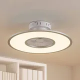 LINDBY Romea 0 cm Deckenventilator Silber
