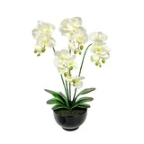 Künstliche Orchidee im Topf, 60 cm, in schwarzem Keramiktopf