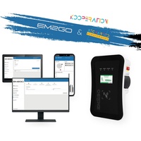 EM2GO NACHRÜST PAKET becharged OCPP-Backend - RFID-Karte