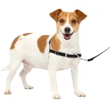 PetSafe Easy Walk Hundegeschirr Schwarz S