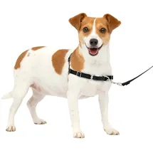 PetSafe Easy Walk Hundegeschirr Schwarz S
