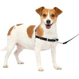PetSafe Easy Walk Hundegeschirr Schwarz S