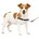 Hundegeschirr S