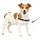 PetSafe Easy Walk Hundegeschirr Schwarz S