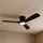 LUCANDE Moneno 131 cm Deckenventilator Schwarz
