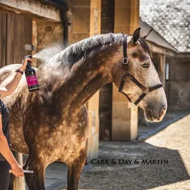 Carr & Day & Martin Canter Mane and Tail, 2,5l