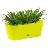 ENGELLAND 25 x 10 x 10 cm Grün