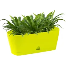 ENGELLAND 25 x 10 x 10 cm Grün