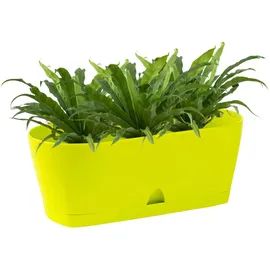 ENGELLAND 25 x 10 x 10 cm Grün