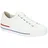 white 43