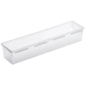 Rotho Aufbewahrungsbox Basic 8 x 30 cm Kunststoff Transparent M (Medium)