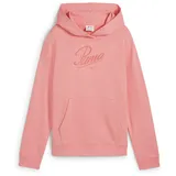 Puma Essentials Script French Terry Hoodie Mädchen 18 pink fruit 140