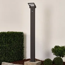 LUCANDE Außenleuchte Aluminium 100,0 cm inkl. Bewegungsmelder Schwarz