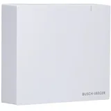 Busch-Jaeger SAP.13 System Access Point 3.0