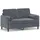 vidaXL 2-Sitzer-Sofa mit Zierkissen Dunkelgrau 120 cm Samt