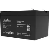 Offgridtec AGM 12V 12Ah (20HR) für Camping & Solaranlagen – Robuste AGM-Technologie mit hoher Betriebssicherheit, geringer Selbstentladung und Langer Lebensdauer