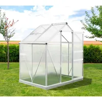 Westmann Aluminium Gewächshaus Flora 64 Silber 132x190x201 cm