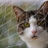 Ccsh Vogelschutznetz Balkon-Fallschutznetz für Katze und Hund, Transparentes Nylonmaschen-Zaunnetz für Fenstertreppen, Wiederverwendbares, Extra Breites Gartengitternetz (Size : 7x6m/23x20ft)