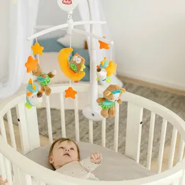 Fehn Sleeping Forest